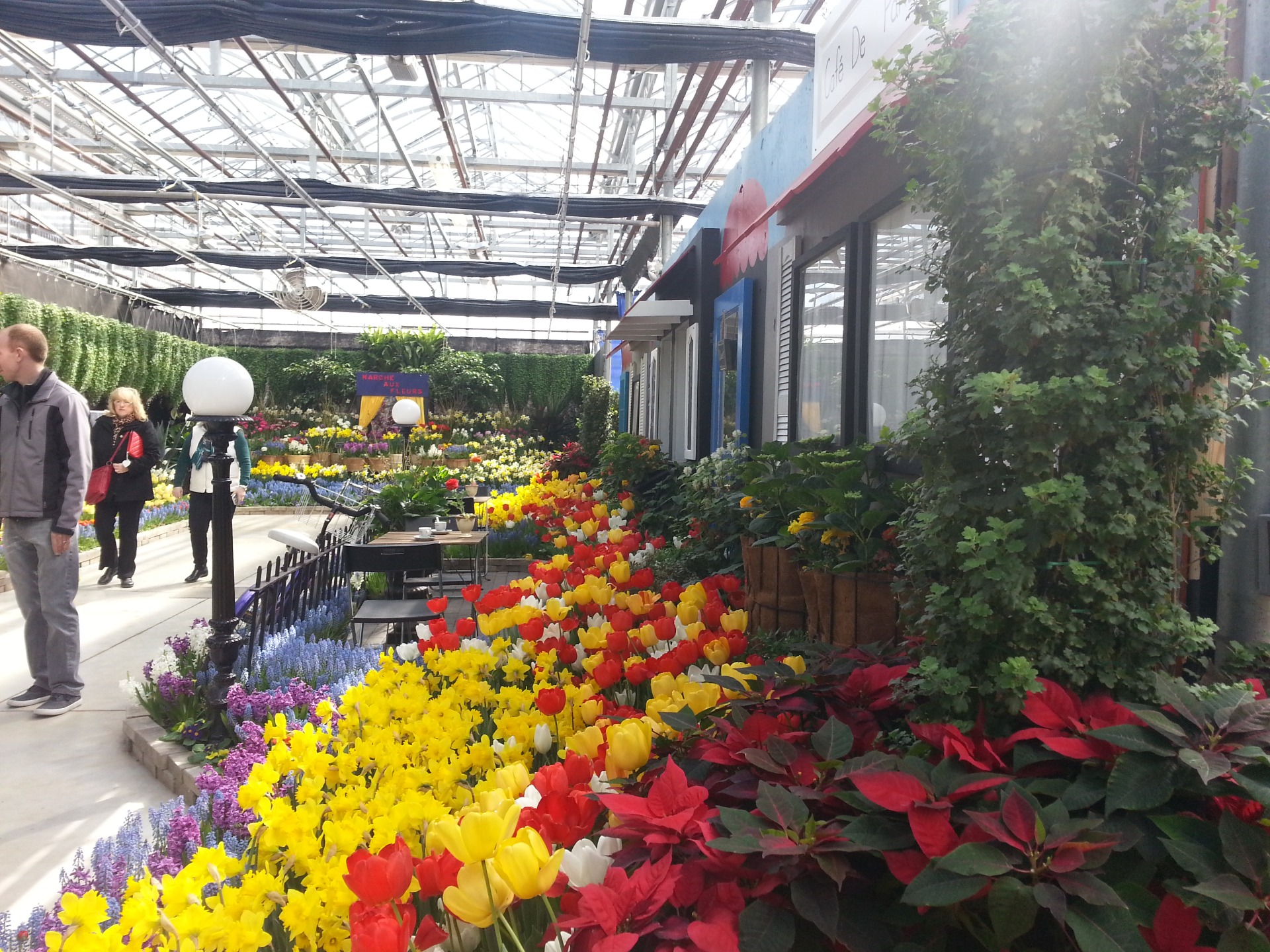 Spring Tide Bulb Show 2018