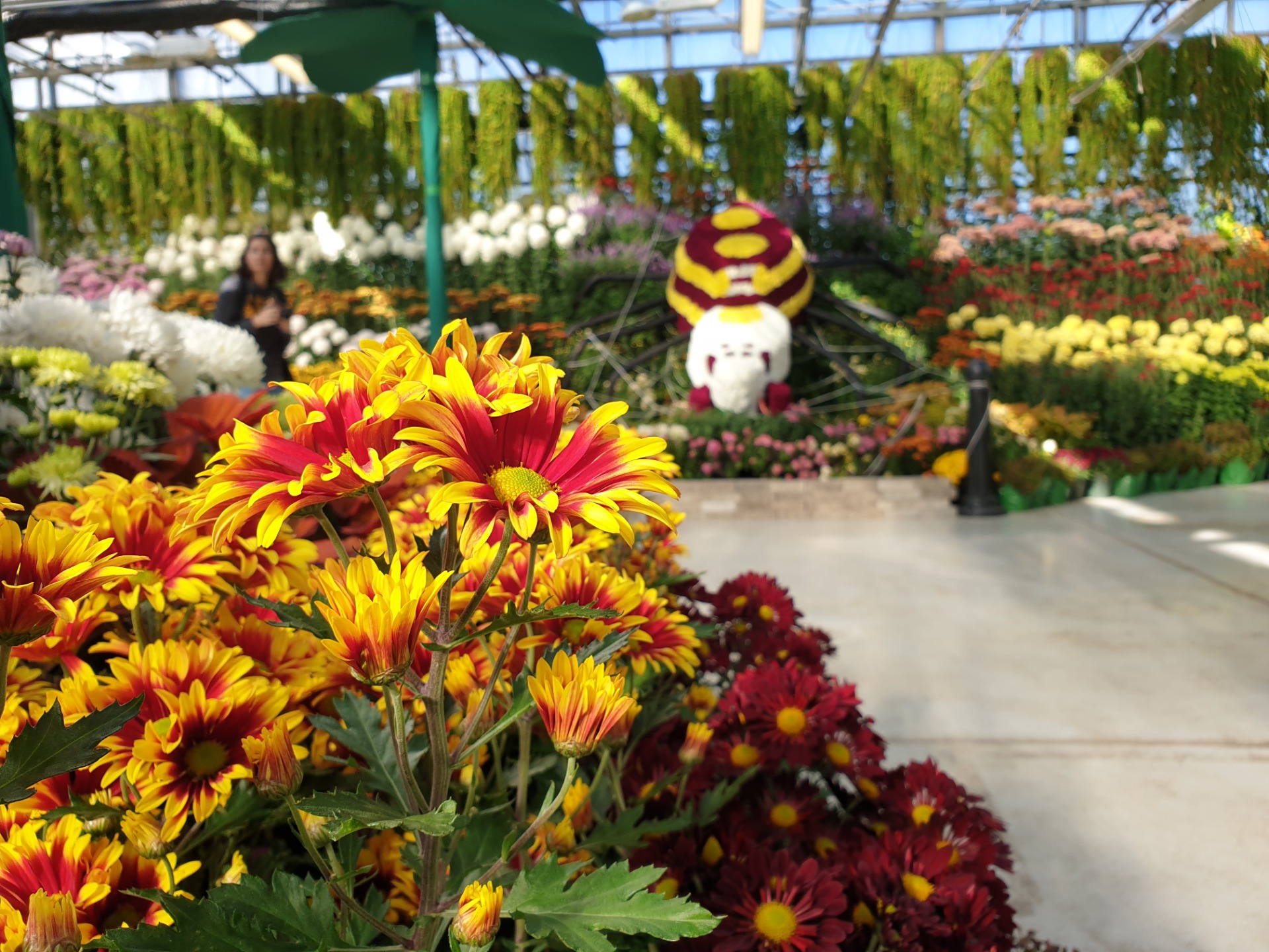Fall Garden & Mum Show 2019